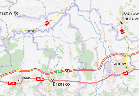 Borzęcin Map