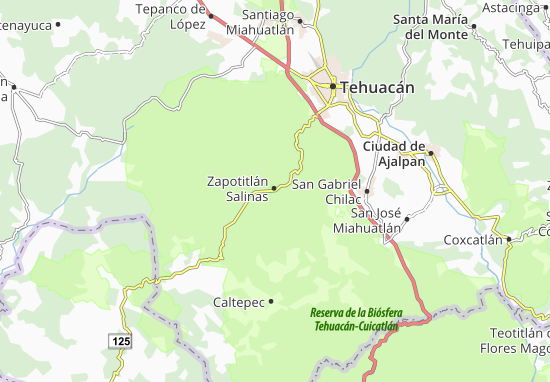 Karte Stadtplan Zapotitlán Salinas