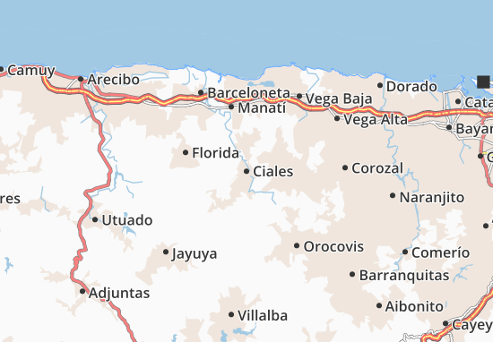 Ciales Map