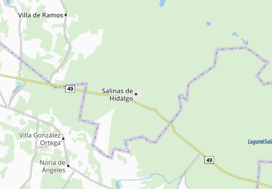 Mapa Salinas de Hidalgo