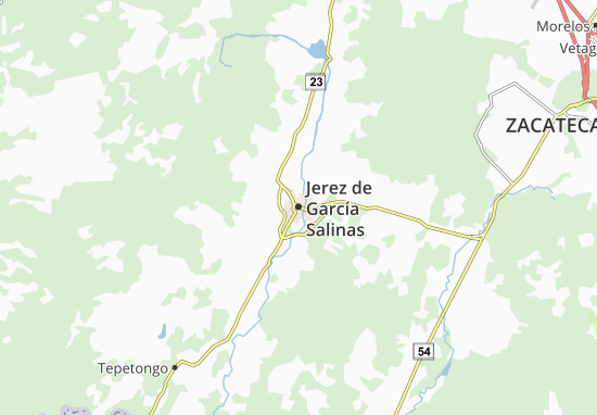 Jerez de García Salinas Map