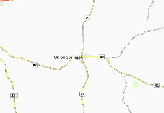 Kaart Plattegrond Union Springs