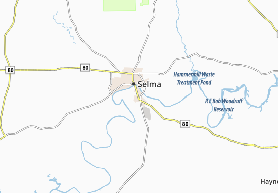 Selmont-West Selmont Map