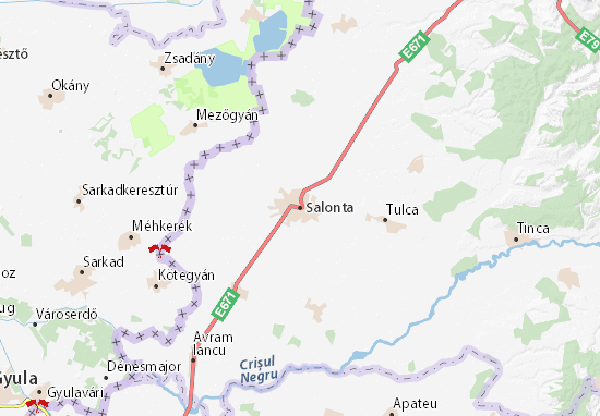 Salonta Map