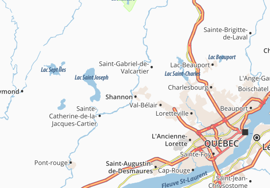Karte Stadtplan Shannon