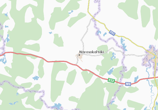Karte Stadtplan Novosokol&#x27;niki