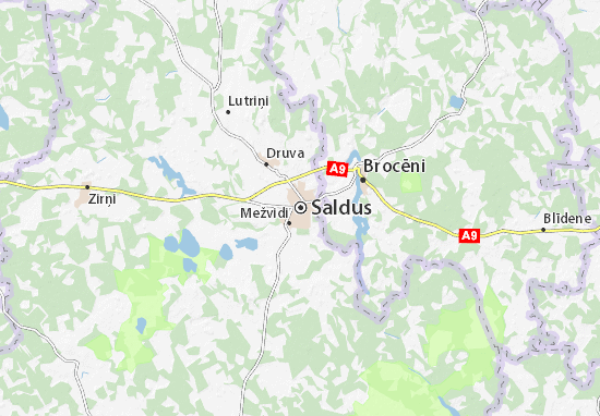 Saldus Map